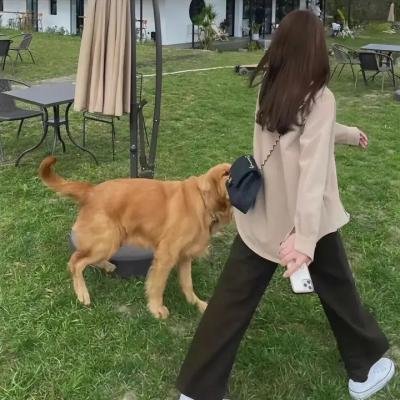 沙丘之子